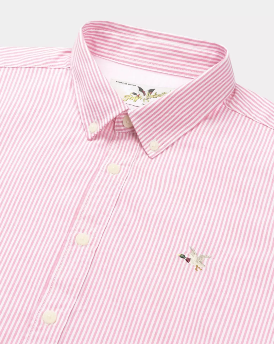 Chevignon Chemise Oxford Stripes Togs Rose Chemise En Coton Biologique